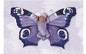 bebe papillon