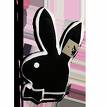trop mignon le lapin
