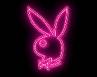 playboy